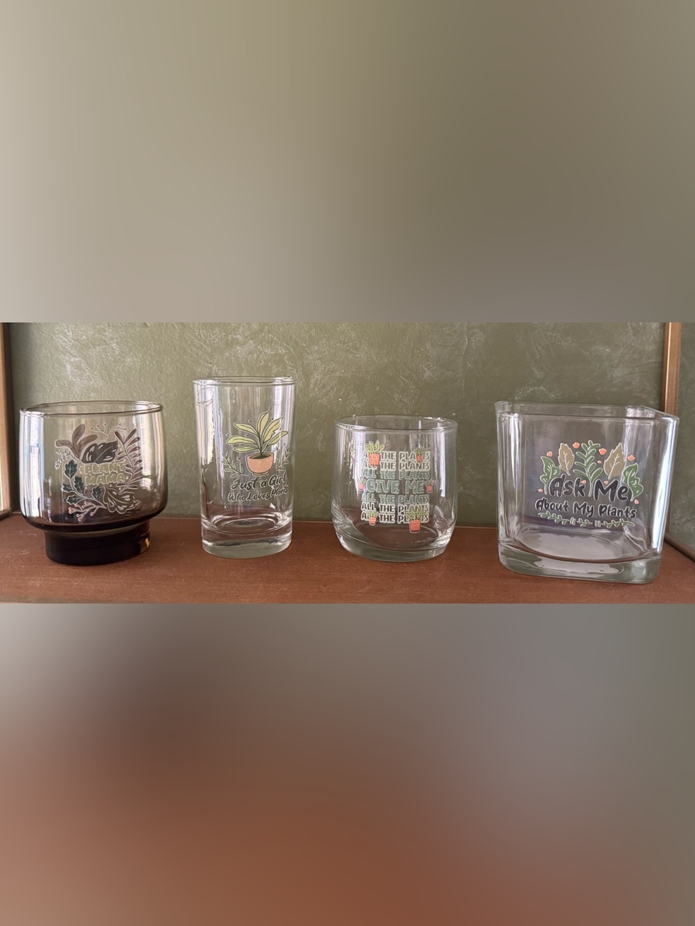 Plant Lover Plant Propagation Glassware